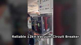 Wir stellen Ihnen den seitlich montierten 12-kV-Hochspannungs-Innenvakuum-Leistungsschalter 630A-1250A vor