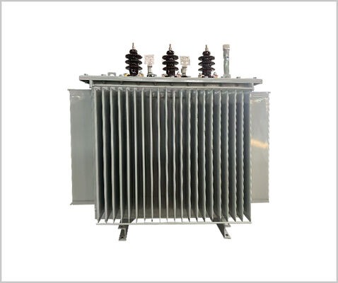 11kv/800kVA Dreiphasige Krafttransformator mit Öl untergetaucht